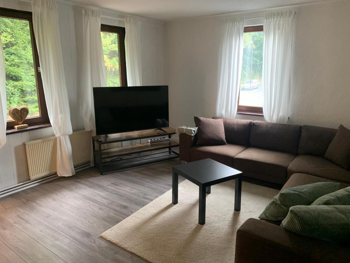 Ferienwohnung An Der Oker ألتيناو المظهر الخارجي الصورة